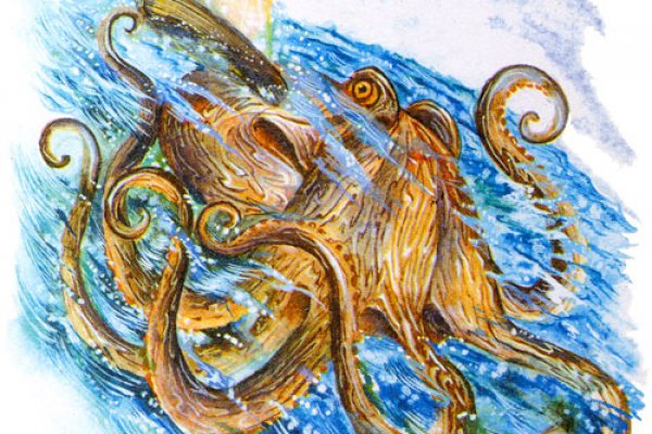 Как зайти на кракен купить криптовалюту