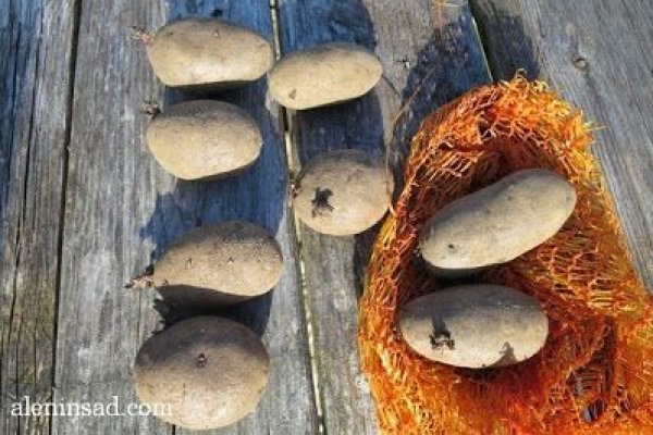 Krab7 at майнинг