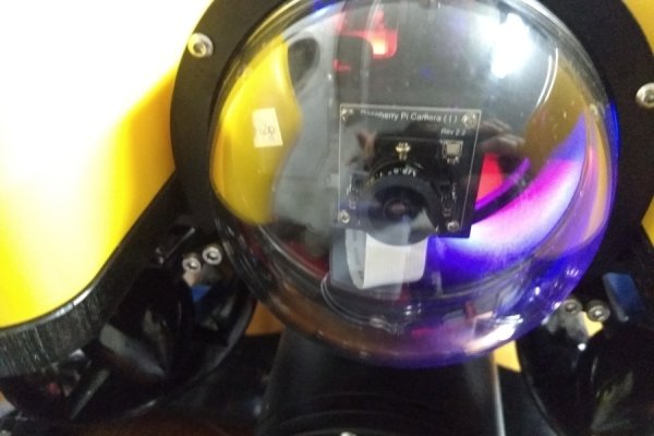 Krab7 at курс токена