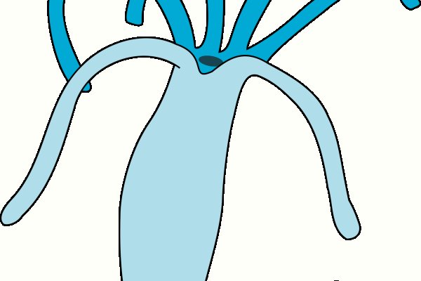 Кракен ссылка официальная торговля криптовалютой