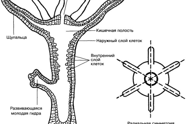 Кракен официальный обмен