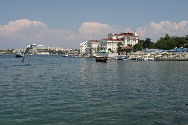 Кракен актуальное зеркало криптовалюта