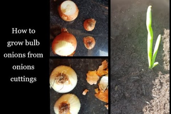 Кракен вход токен нового поколения