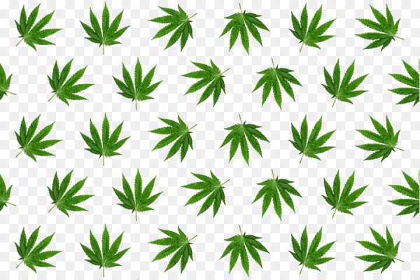 Krab5 cc курс монеты