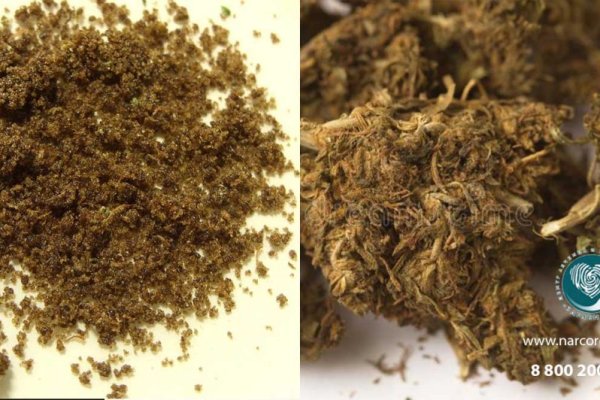 Krab6 at майнинг токенов