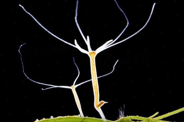 Официальный сайт криптовалюта