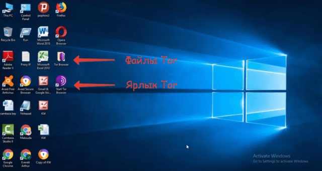Ссылка кракен монета